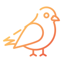 pájaro icon