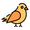 pájaro icon