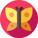 mariposa icon