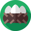 huevos icon