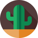 cactus icon