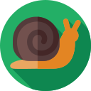 caracol icon