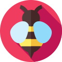 abeja icon