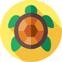 tortuga icon