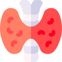 endocrino icon