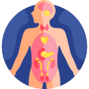 Endocrine free icon