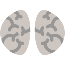 cerebro icon