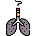 pulmones