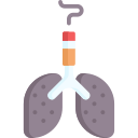 pulmones icon