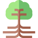 Árbol de la vida