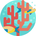 coral icon