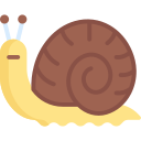 caracol 