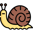 caracol