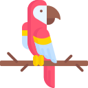 guacamayo 