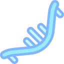 mrna 