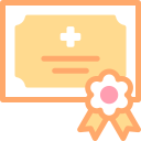 certificado icon