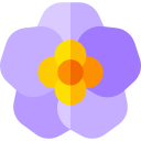 violeta africana icon