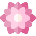 dalia icon