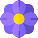 cosmos icon