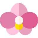 orquídea icon