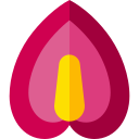 anturio icon