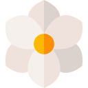 magnolia icon