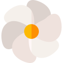 gardenia icon