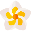 plumeria icon