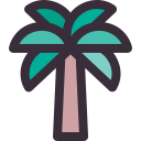 palmera icon