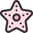 estrella de mar