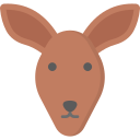 canguro icon