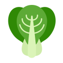 bok choy icon