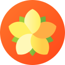 plumeria icon