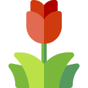 tulipanes