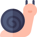 caracol icon