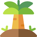 palmera icon