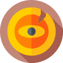 moneda icon