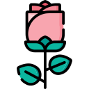 rosa icon