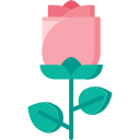 장미 icon