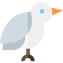 pájaro icon