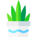 aloe vera icon