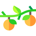 fruta icon