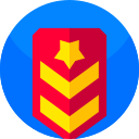 insignia icon