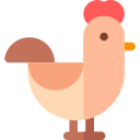 pollo icon