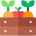 verduras icon