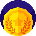 insignia icon