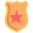 insignia icon