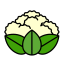 coliflor icon