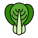 bok choy icon