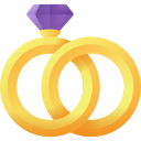 anillos icon